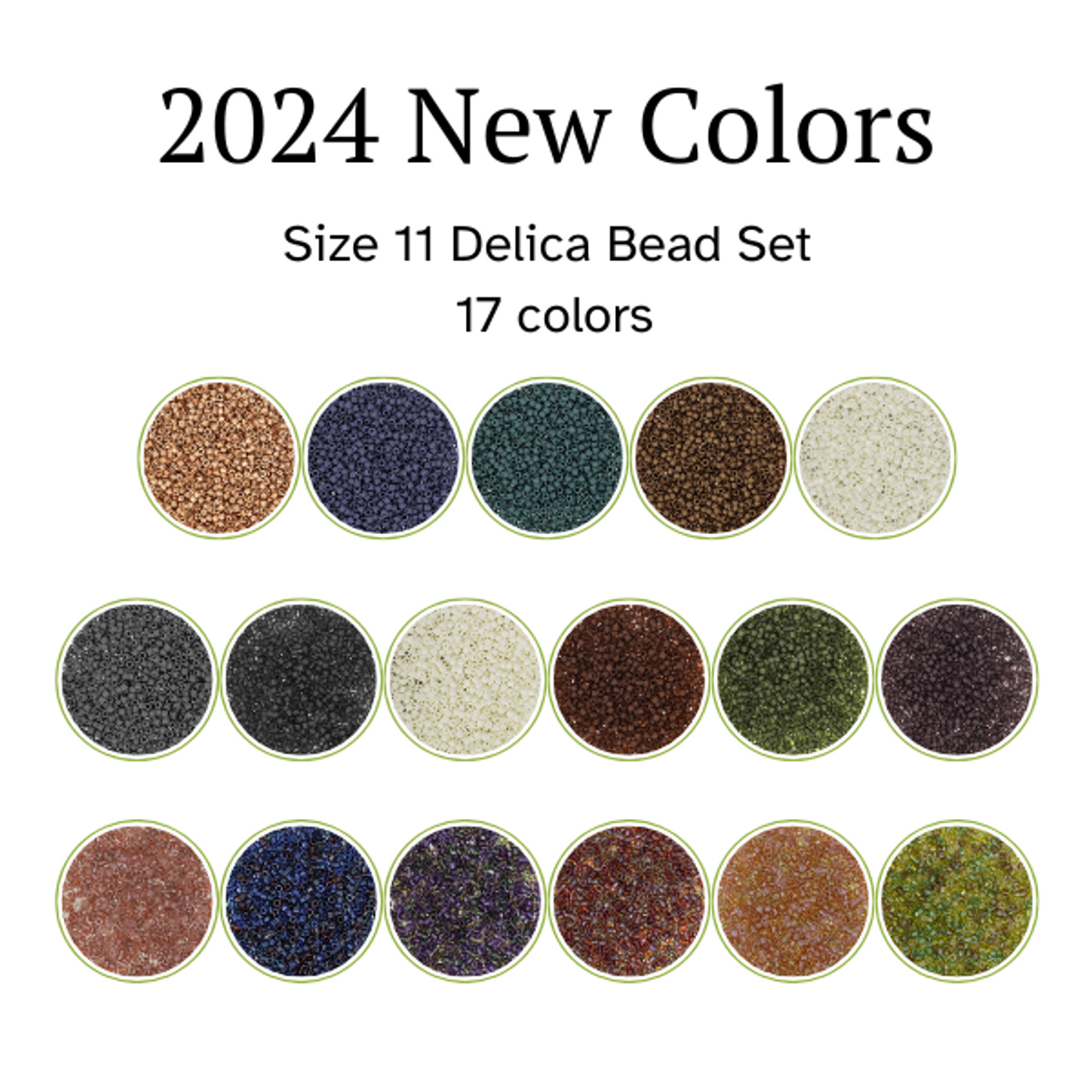 2024 New Delica Colors